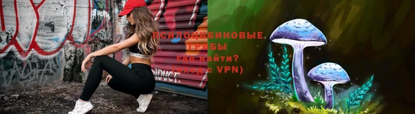 PSILOCYBIN Абинск