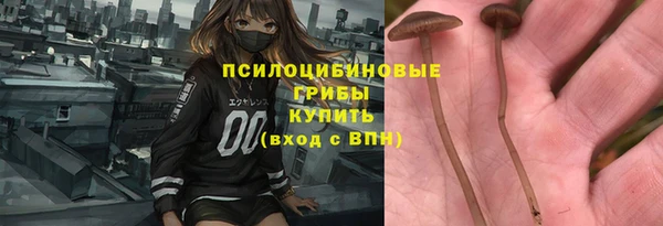 spice Абаза