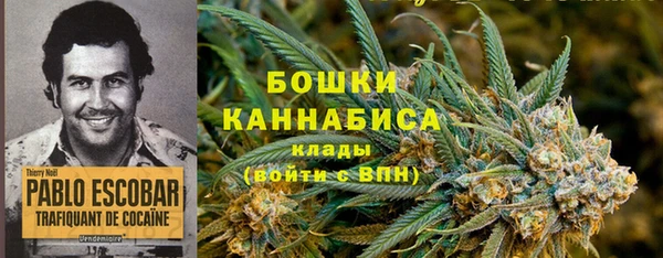 spice Абаза