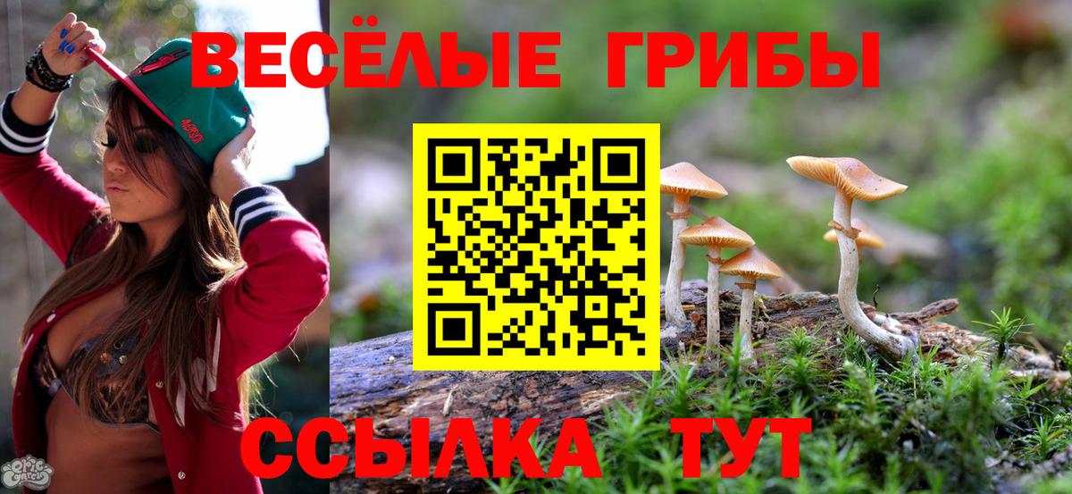 Галлюциногенные грибы Psilocybe  Вход с VPN  Рязань 
